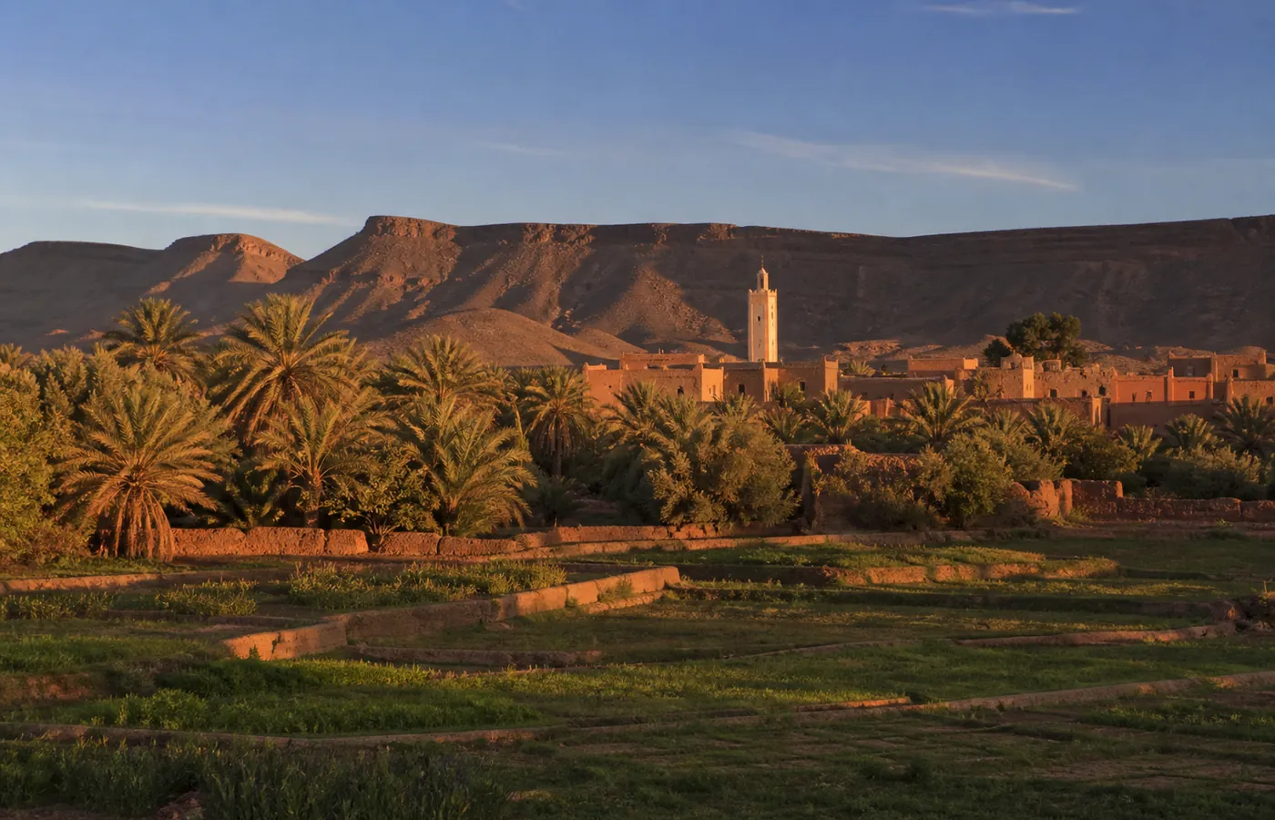 La palmeraie de Foum Zguid, étape du circuit désert depuis Agadir