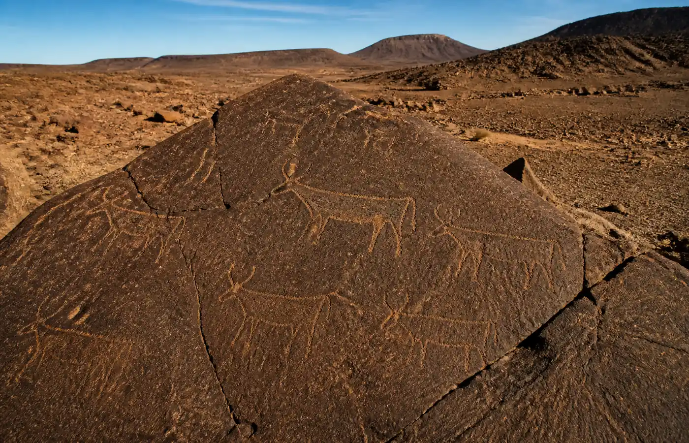 Gravures rupestres du Jbel Bani : antilopes gravées dans la pierre
