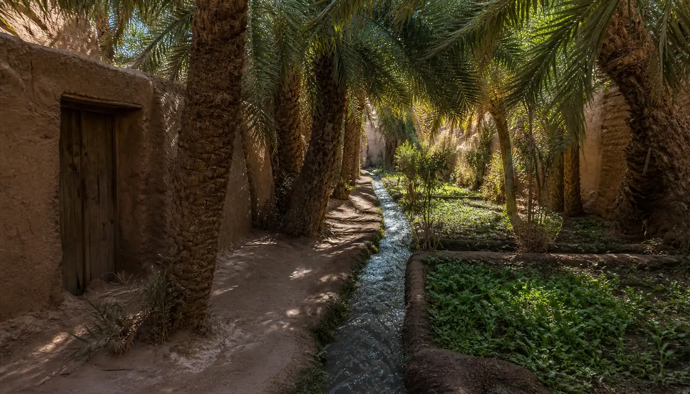 Ruelle ombragée dans la palmeraie de Foum Zguid
