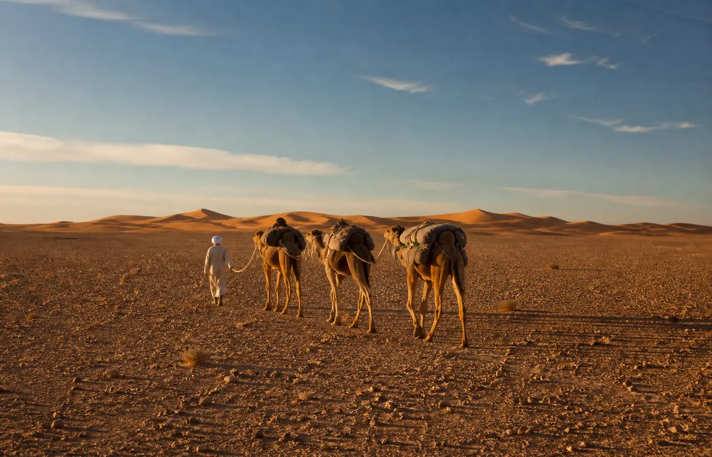 Trek chamelier au départ de Foum Zguid vers les dunes