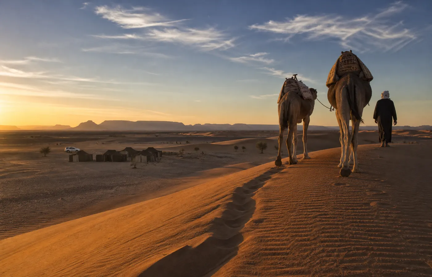 Dromadaires au coucher du soleil à l'Erg Chegaga, bivouac en contrebas