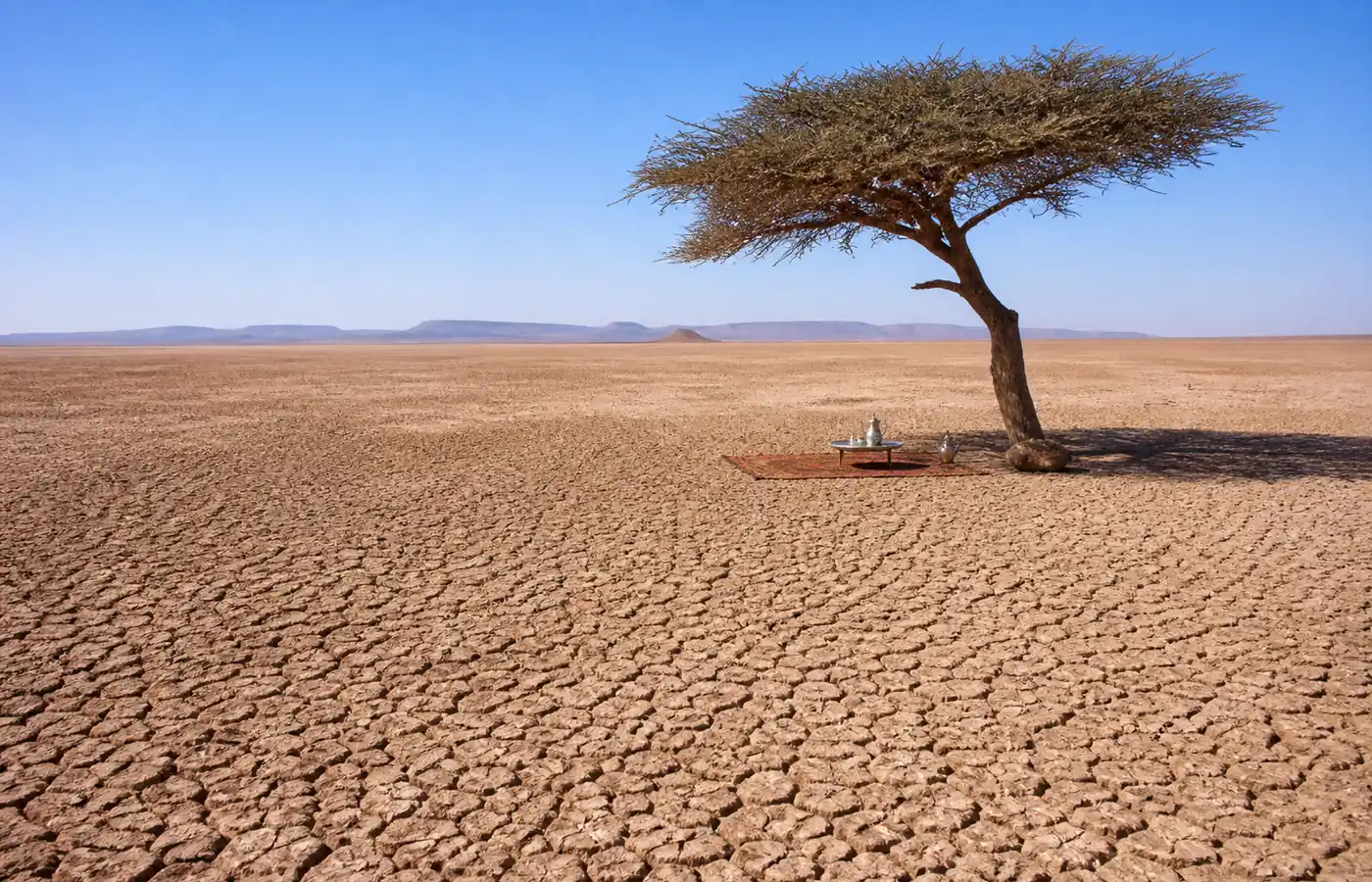 Déjeuner nomade sous un acacia au bord du lac Iriki